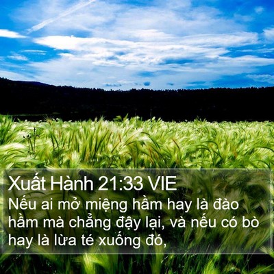 Xuất Hành 21:33 VIE Bible Verse Image