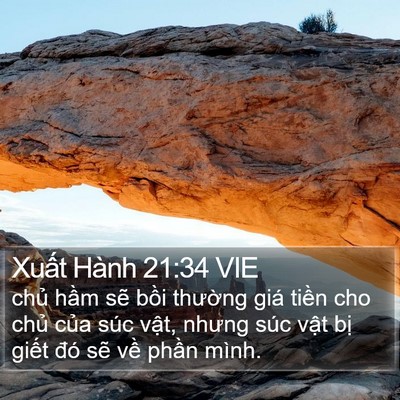 Xuất Hành 21:34 VIE Bible Verse Image