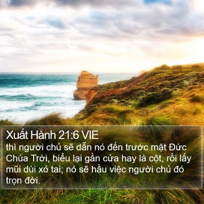Xuất Hành 21:6 VIE Bible Verse Image
