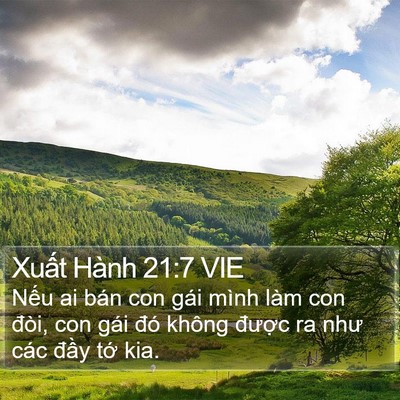 Xuất Hành 21:7 VIE Bible Verse Image