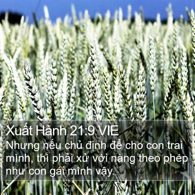 Xuất Hành 21:9 VIE Bible Verse Image
