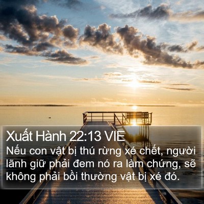 Xuất Hành 22:13 VIE Bible Verse Image