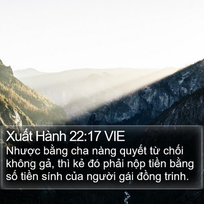 Xuất Hành 22:17 VIE Bible Verse Image