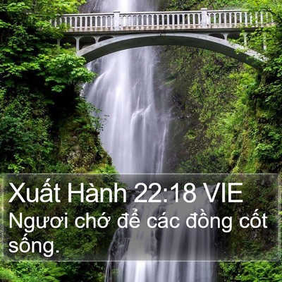 Xuất Hành 22:18 VIE Bible Verse Image