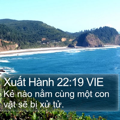 Xuất Hành 22:19 VIE Bible Verse Image