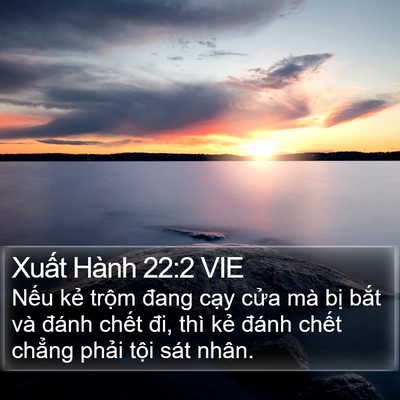 Xuất Hành 22:2 VIE Bible Verse Image