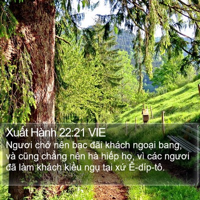 Xuất Hành 22:21 VIE Bible Verse Image