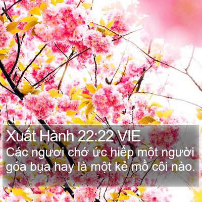 Xuất Hành 22:22 VIE Bible Verse Image