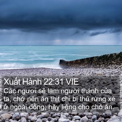 Xuất Hành 22:31 VIE Bible Verse Image