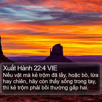 Xuất Hành 22:4 VIE Bible Verse Image