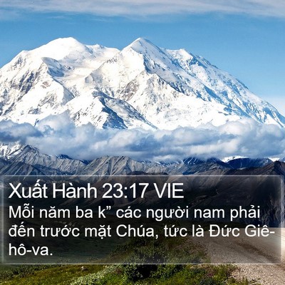 Xuất Hành 23:17 VIE Bible Verse Image