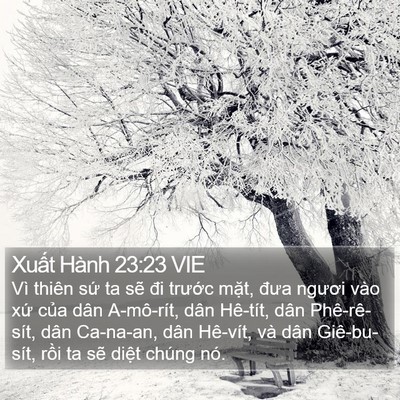 Xuất Hành 23:23 VIE Bible Verse Image