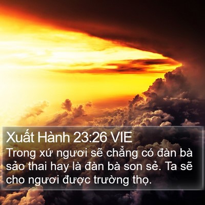 Xuất Hành 23:26 VIE Bible Verse Image