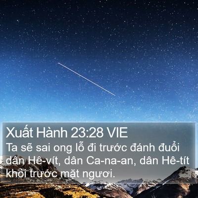 Xuất Hành 23:28 VIE Bible Verse Image
