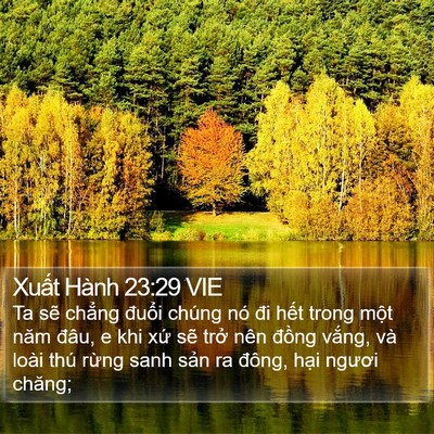 Xuất Hành 23:29 VIE Bible Verse Image