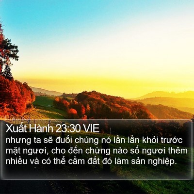 Xuất Hành 23:30 VIE Bible Verse Image