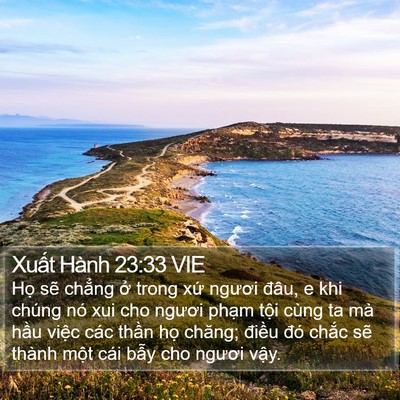 Xuất Hành 23:33 VIE Bible Verse Image