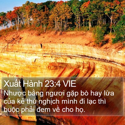 Xuất Hành 23:4 VIE Bible Verse Image