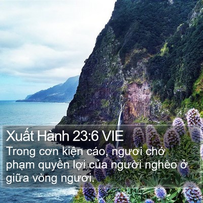 Xuất Hành 23:6 VIE Bible Verse Image