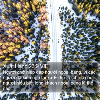 Xuất Hành 23:9 VIE Bible Verse Image