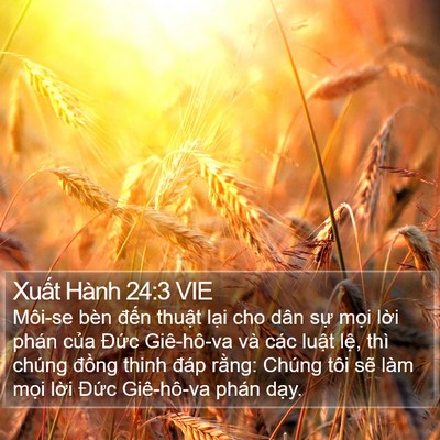 Xuất Hành 24:3 VIE Bible Verse Image