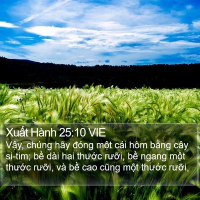 Xuất Hành 25:10 VIE Bible Verse Image