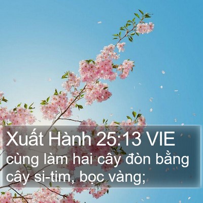 Xuất Hành 25:13 VIE Bible Verse Image