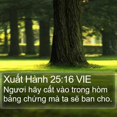 Xuất Hành 25:16 VIE Bible Verse Image