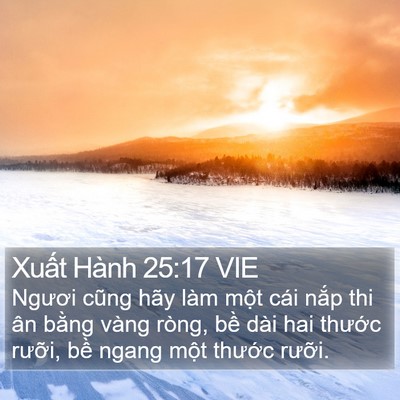 Xuất Hành 25:17 VIE Bible Verse Image