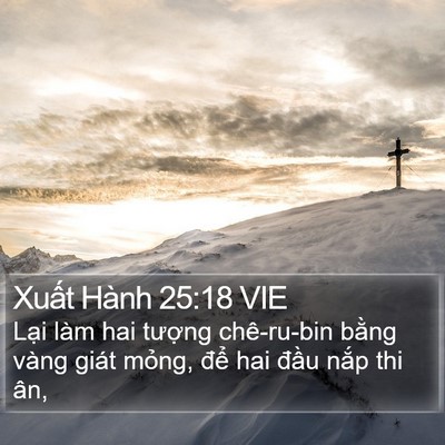 Xuất Hành 25:18 VIE Bible Verse Image