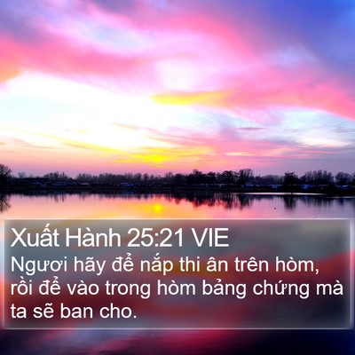 Xuất Hành 25:21 VIE Bible Verse Image