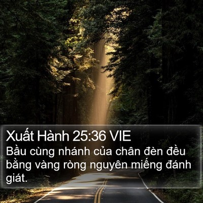 Xuất Hành 25:36 VIE Bible Verse Image