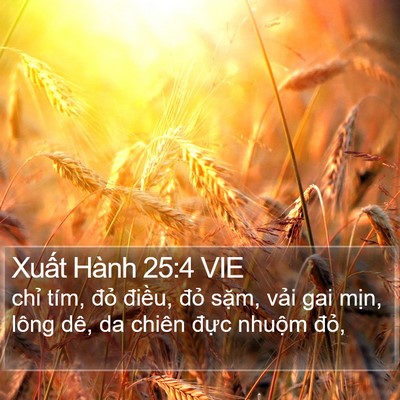 Xuất Hành 25:4 VIE Bible Verse Image