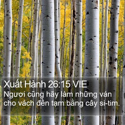 Xuất Hành 26:15 VIE Bible Verse Image