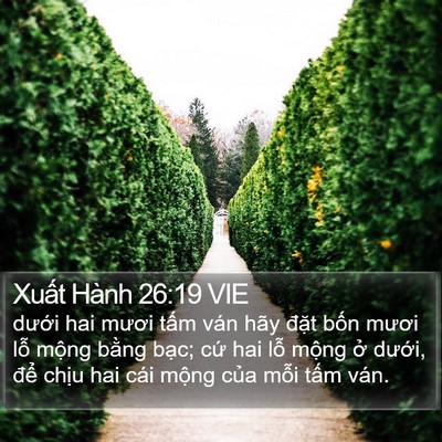 Xuất Hành 26:19 VIE Bible Verse Image