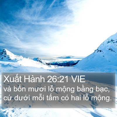Xuất Hành 26:21 VIE Bible Verse Image