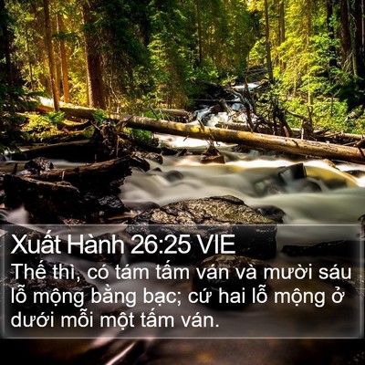 Xuất Hành 26:25 VIE Bible Verse Image