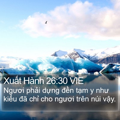 Xuất Hành 26:30 VIE Bible Verse Image