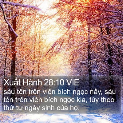 Xuất Hành 28:10 VIE Bible Verse Image