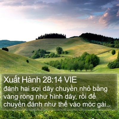 Xuất Hành 28:14 VIE Bible Verse Image