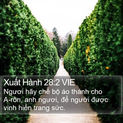 Xuất Hành 28:2 VIE Bible Verse Image
