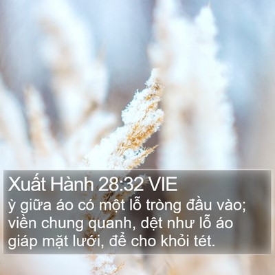 Xuất Hành 28:32 VIE Bible Verse Image