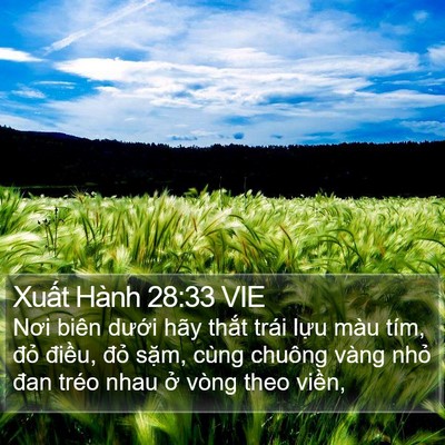 Xuất Hành 28:33 VIE Bible Verse Image