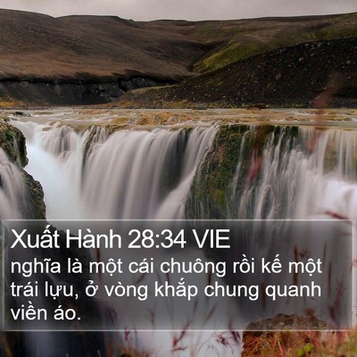 Xuất Hành 28:34 VIE Bible Verse Image
