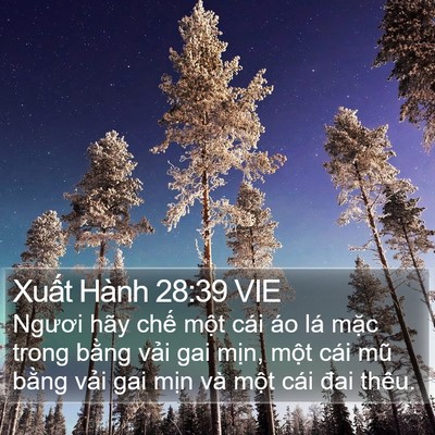 Xuất Hành 28:39 VIE Bible Verse Image