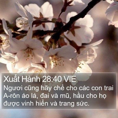 Xuất Hành 28:40 VIE Bible Verse Image