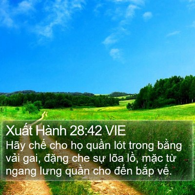Xuất Hành 28:42 VIE Bible Verse Image
