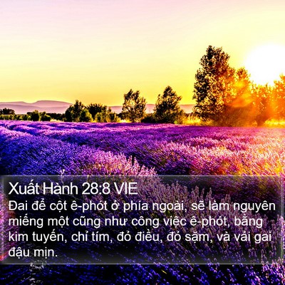 Xuất Hành 28:8 VIE Bible Verse Image