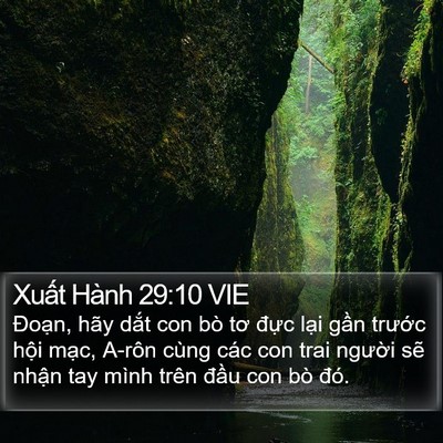 Xuất Hành 29:10 VIE Bible Verse Image