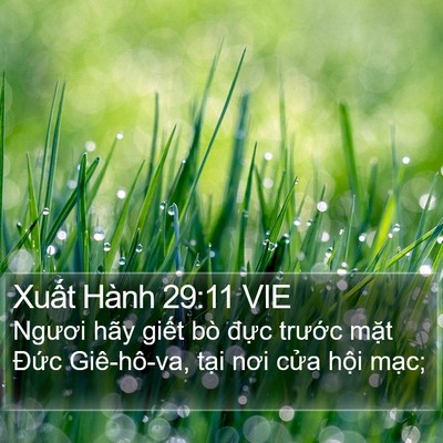 Xuất Hành 29:11 VIE Bible Verse Image